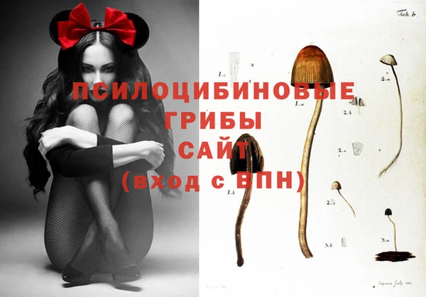 COCAINE Вяземский